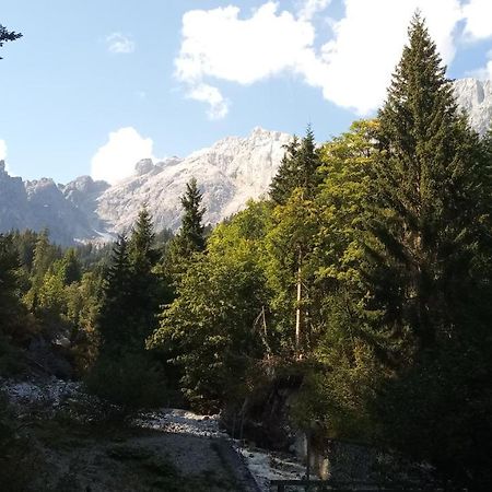 Appartmenthaus Hochkoenig Mühlbach am Hochkönig Eksteriør billede