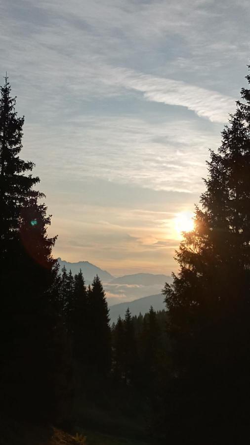 Appartmenthaus Hochkoenig Mühlbach am Hochkönig Eksteriør billede