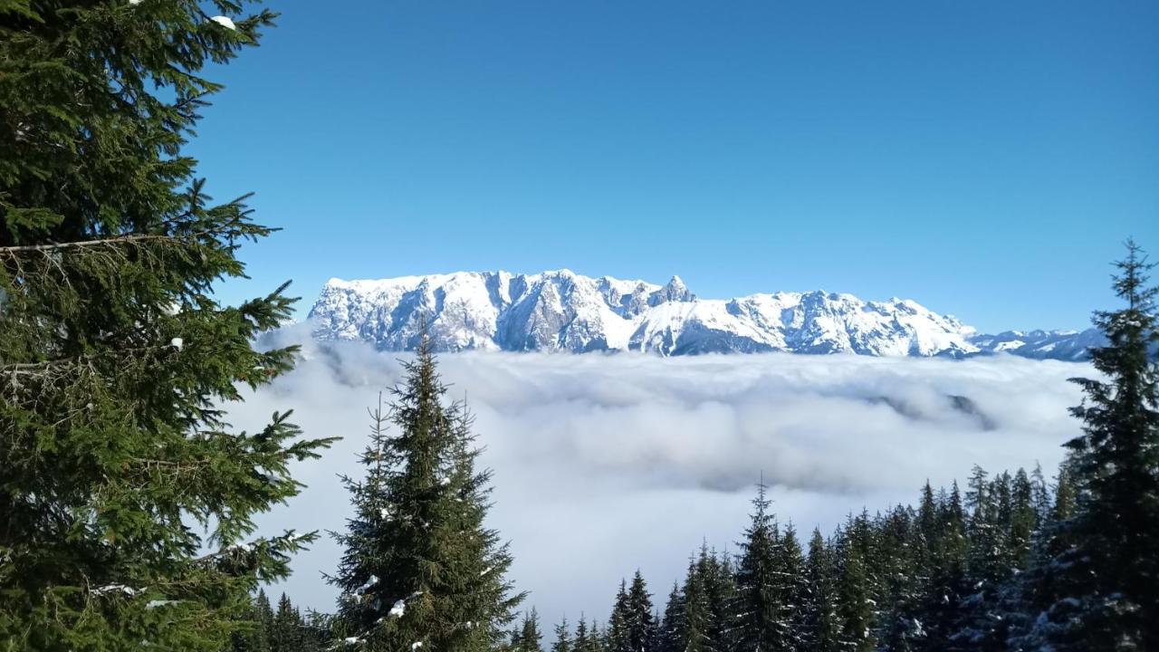 Appartmenthaus Hochkoenig Mühlbach am Hochkönig Eksteriør billede