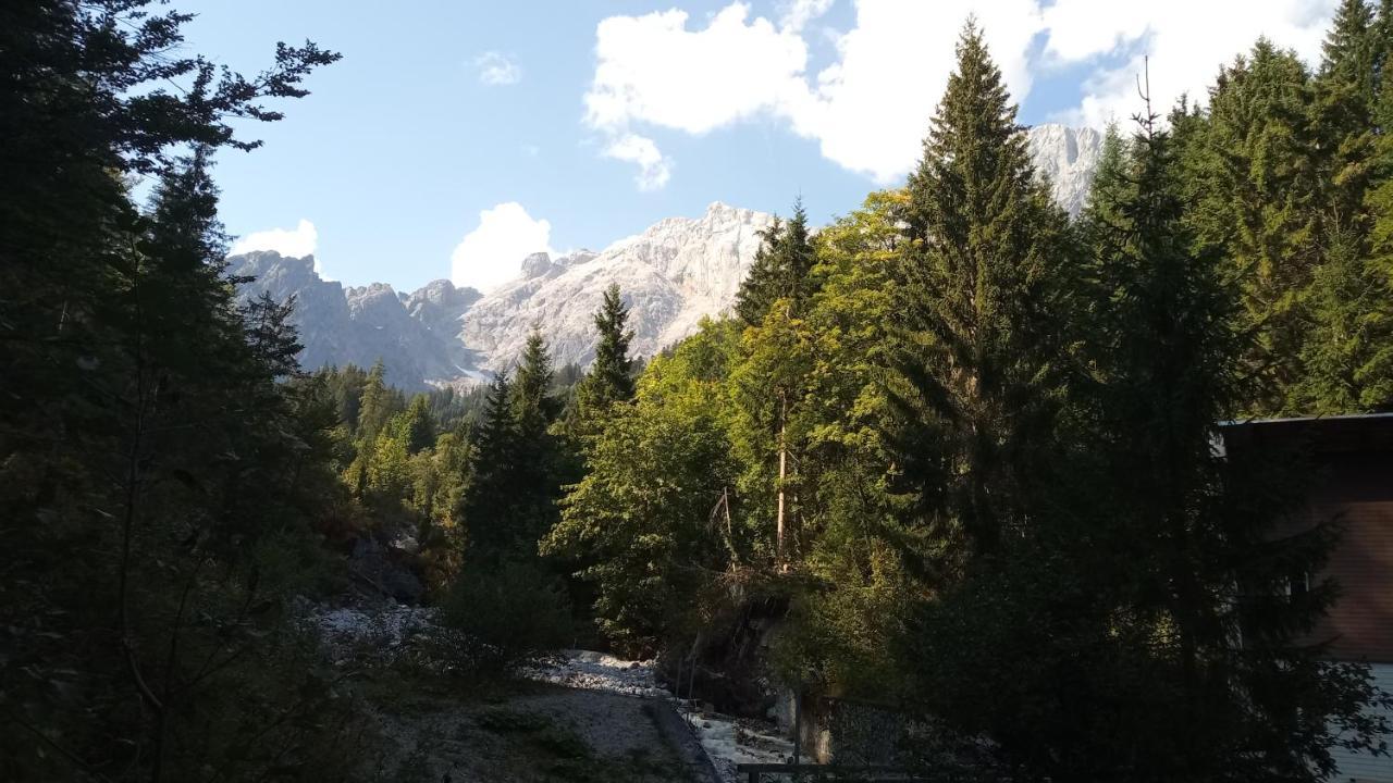 Appartmenthaus Hochkoenig Mühlbach am Hochkönig Eksteriør billede