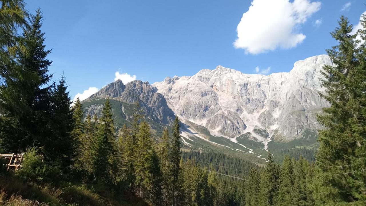 Appartmenthaus Hochkoenig Mühlbach am Hochkönig Eksteriør billede