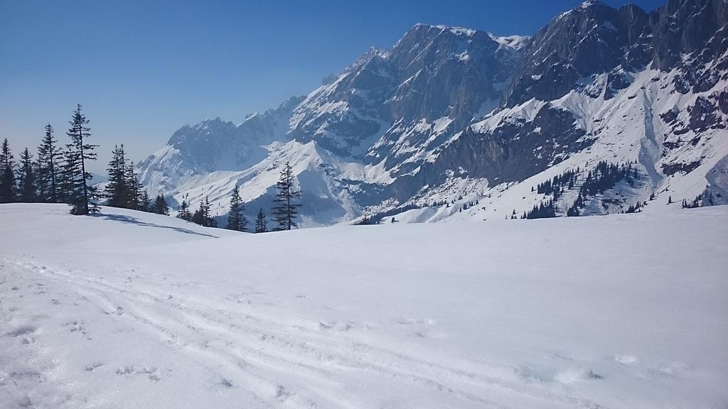 Appartmenthaus Hochkoenig Mühlbach am Hochkönig Eksteriør billede