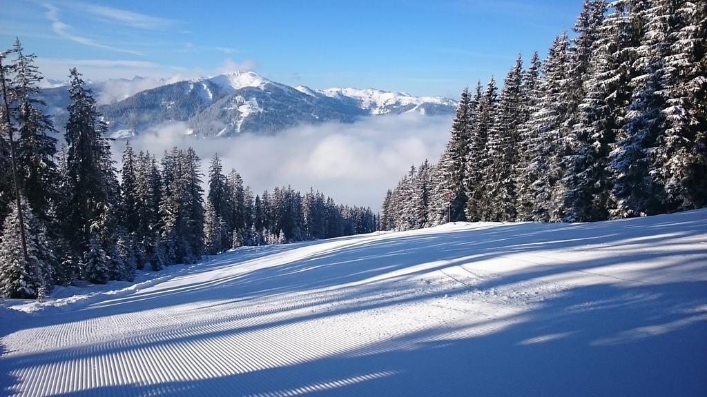 Appartmenthaus Hochkoenig Mühlbach am Hochkönig Eksteriør billede