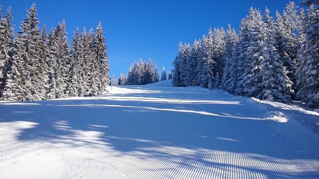 Appartmenthaus Hochkoenig Mühlbach am Hochkönig Eksteriør billede
