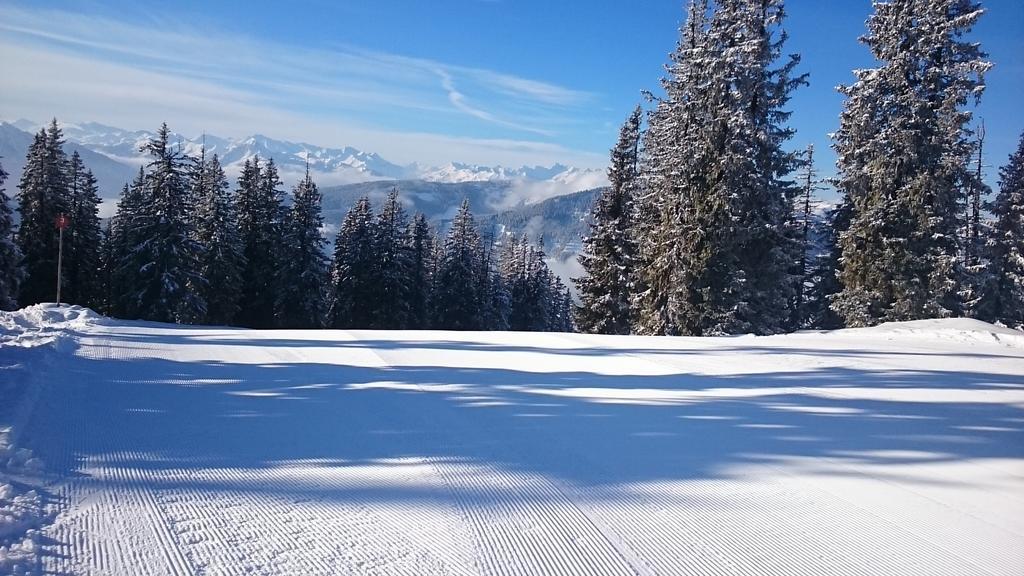 Appartmenthaus Hochkoenig Mühlbach am Hochkönig Eksteriør billede