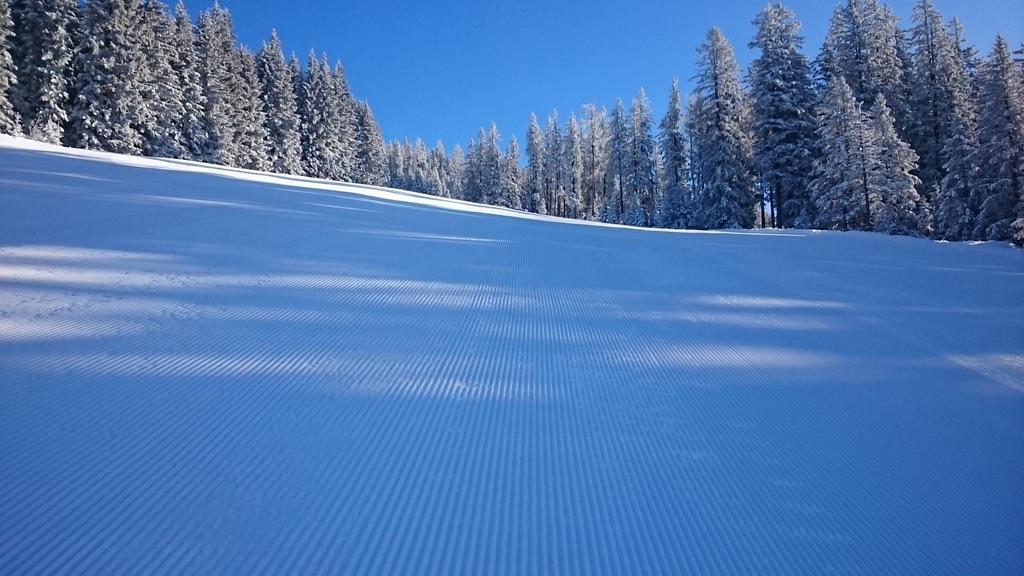 Appartmenthaus Hochkoenig Mühlbach am Hochkönig Eksteriør billede