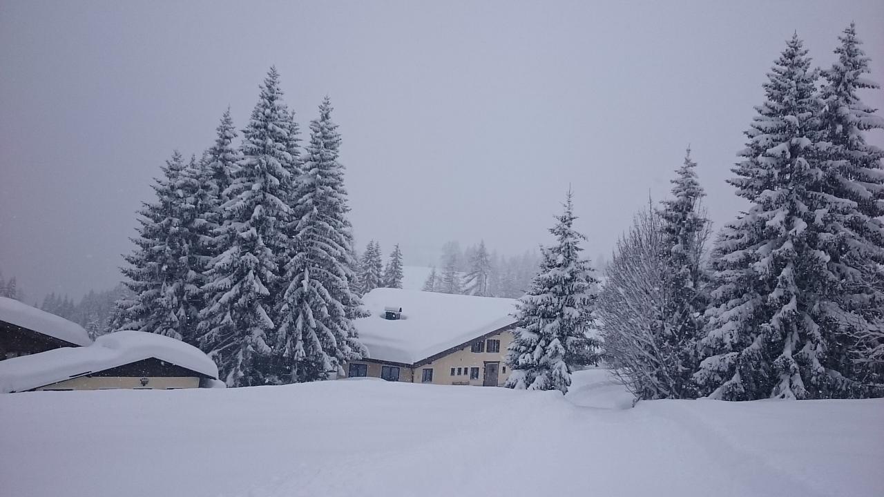 Appartmenthaus Hochkoenig Mühlbach am Hochkönig Eksteriør billede