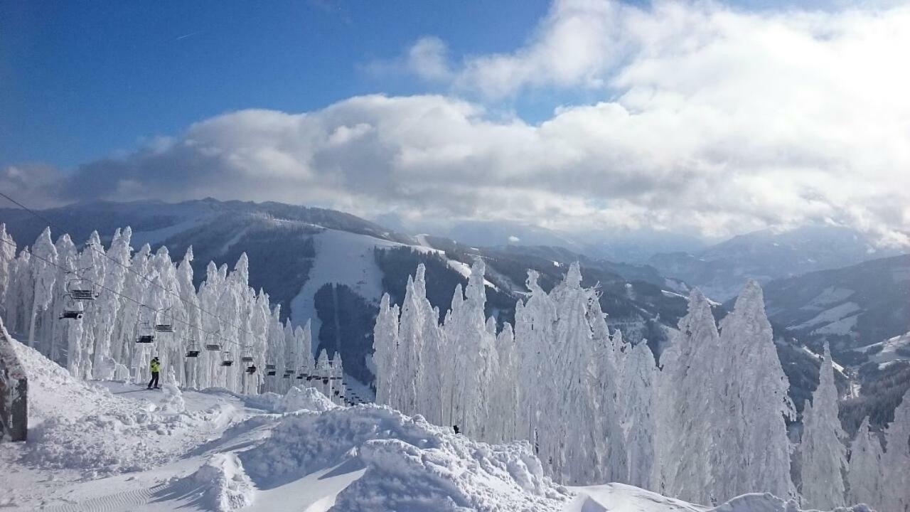 Appartmenthaus Hochkoenig Mühlbach am Hochkönig Eksteriør billede