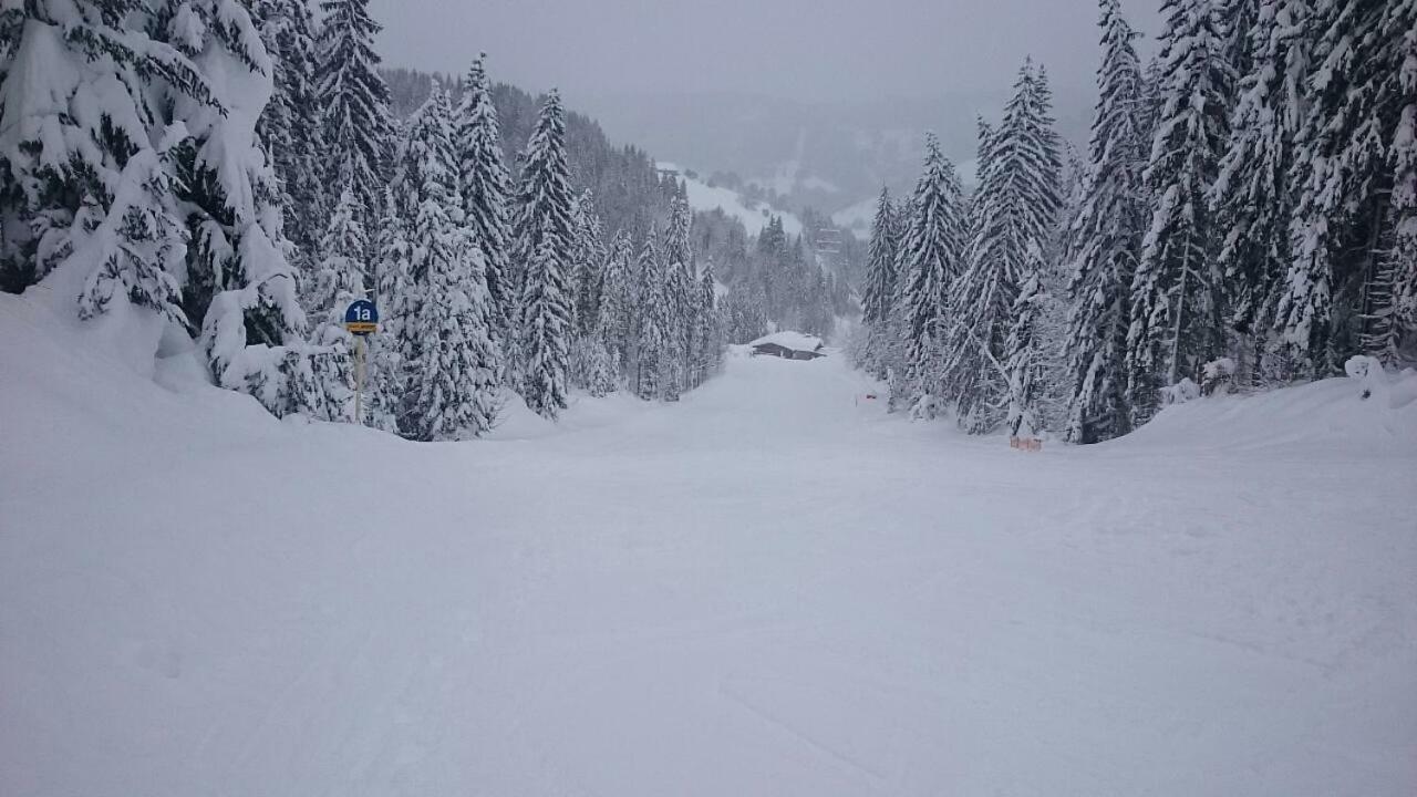 Appartmenthaus Hochkoenig Mühlbach am Hochkönig Eksteriør billede